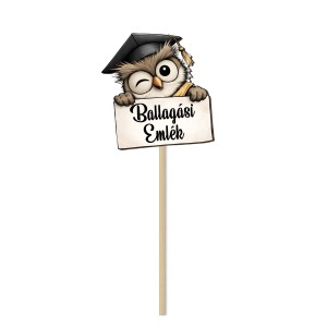Pálcás betűzők ballagásra! 5db/csomag